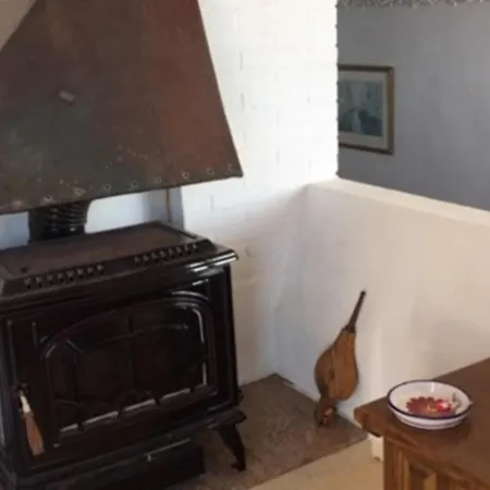 The Olives * 에스테포나